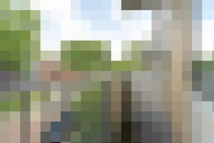 Albert Verweylaan 5 I Haarlem thumbnail 14