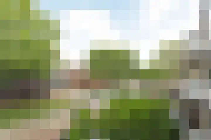 Albert Verweylaan 5 I Haarlem thumbnail 15