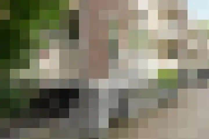 Albert Verweylaan 5 I Haarlem thumbnail 24