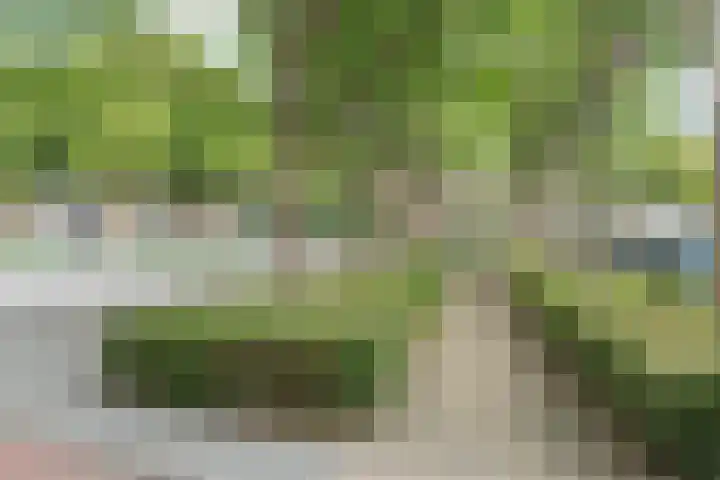 Albert Verweylaan 5 I Haarlem thumbnail 29
