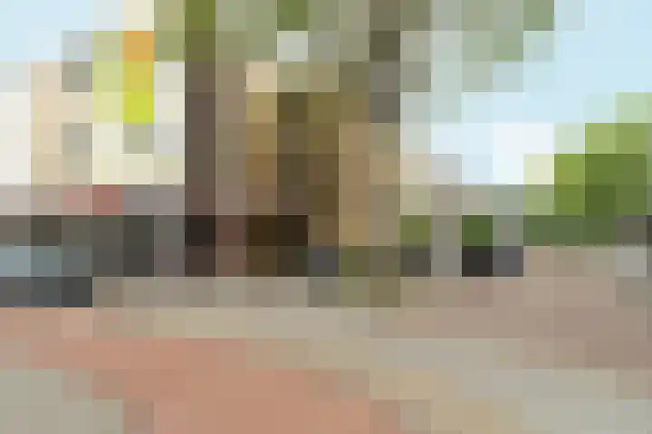 Albert Verweylaan 5 I Haarlem thumbnail 30