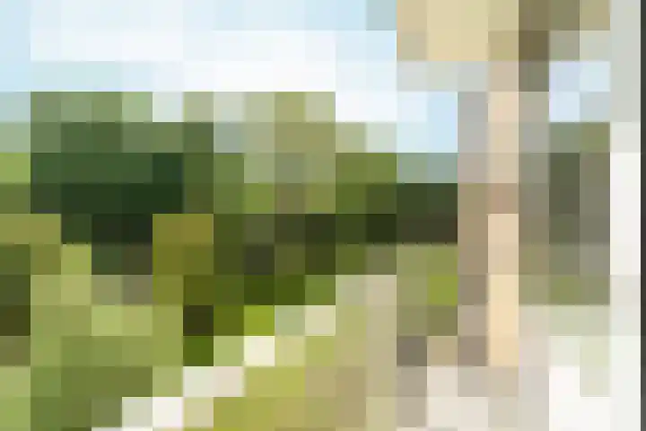 Albert Verweylaan 5 I Haarlem thumbnail 4