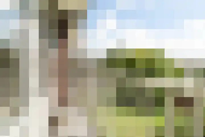 Albert Verweylaan 5 I Haarlem thumbnail 7