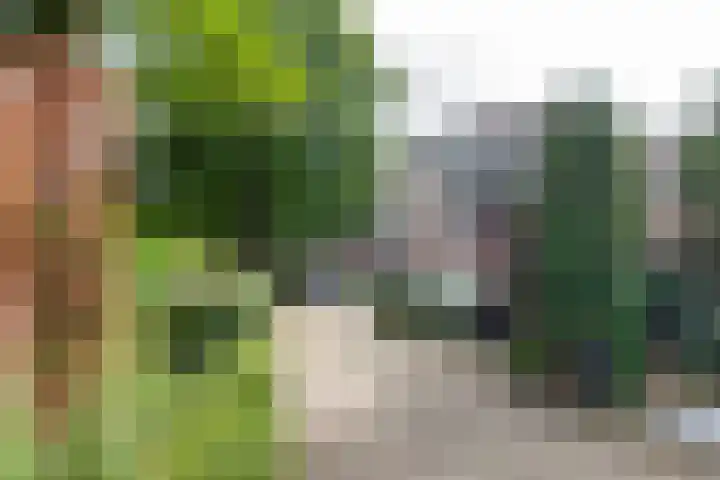 Albert Verweylaan 52 Driehuis NH thumbnail 32