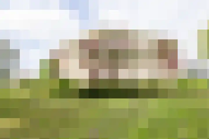 Albert Verweylaan 52 Driehuis NH thumbnail 34