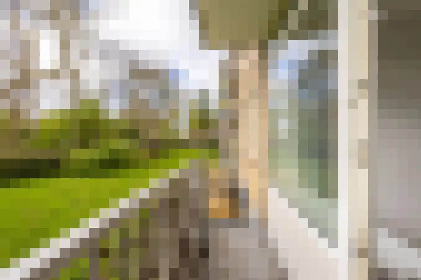 Albert Verweylaan 9 Haarlem thumbnail 17