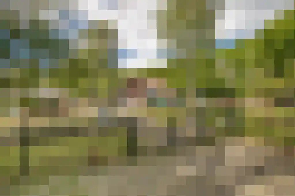 Albert Verweylaan 9 Haarlem thumbnail 31