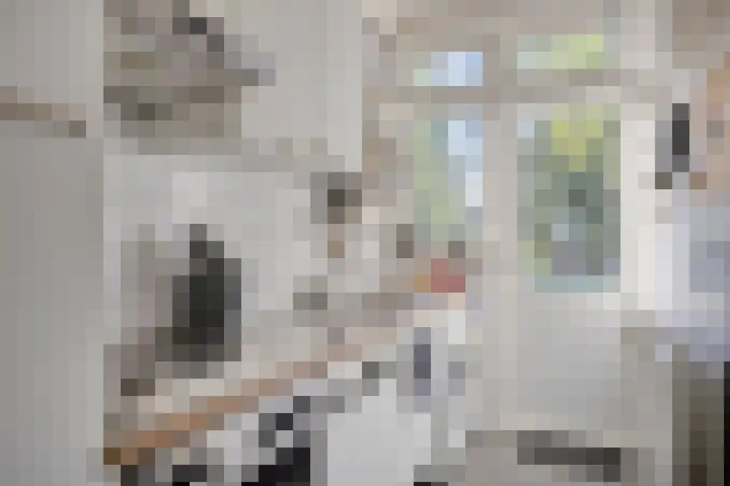 Albert Verweystraat 1 C Rotterdam thumbnail 8