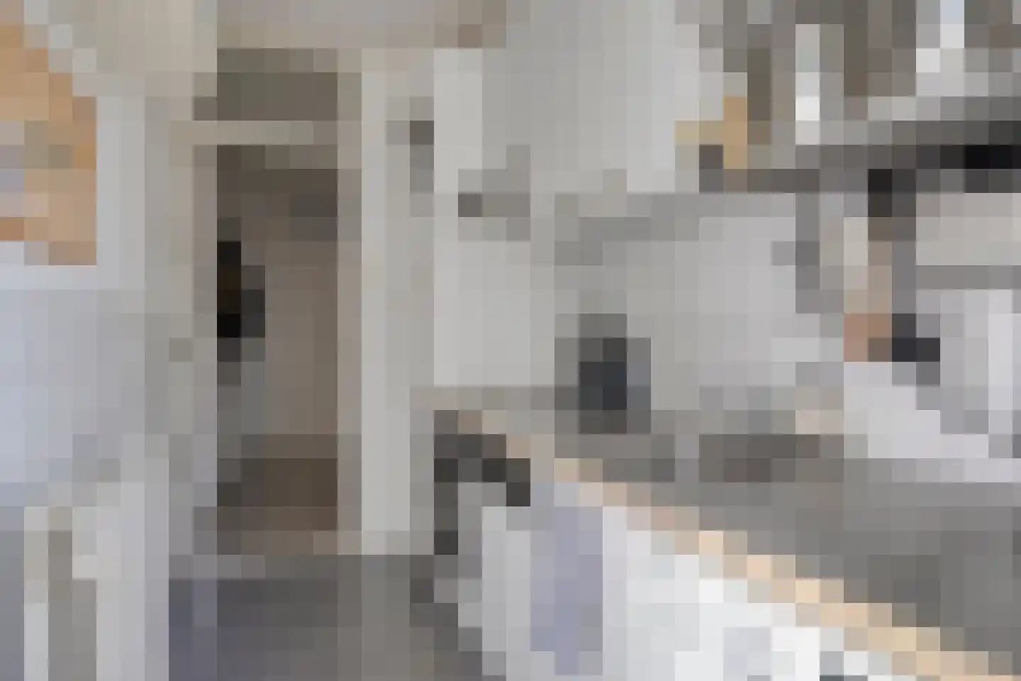Albert Verweystraat 1 C Rotterdam thumbnail 9