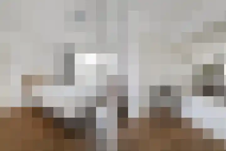 Albert Verweystraat 100 Voorburg thumbnail 26