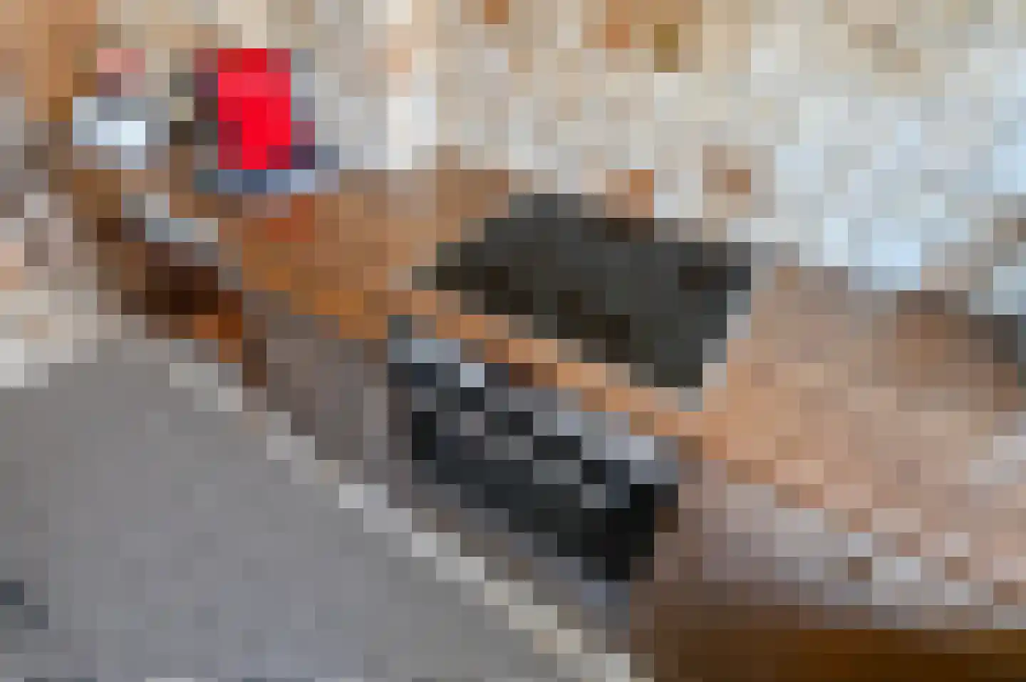 Albert Verweystraat 126 Voorburg thumbnail 18