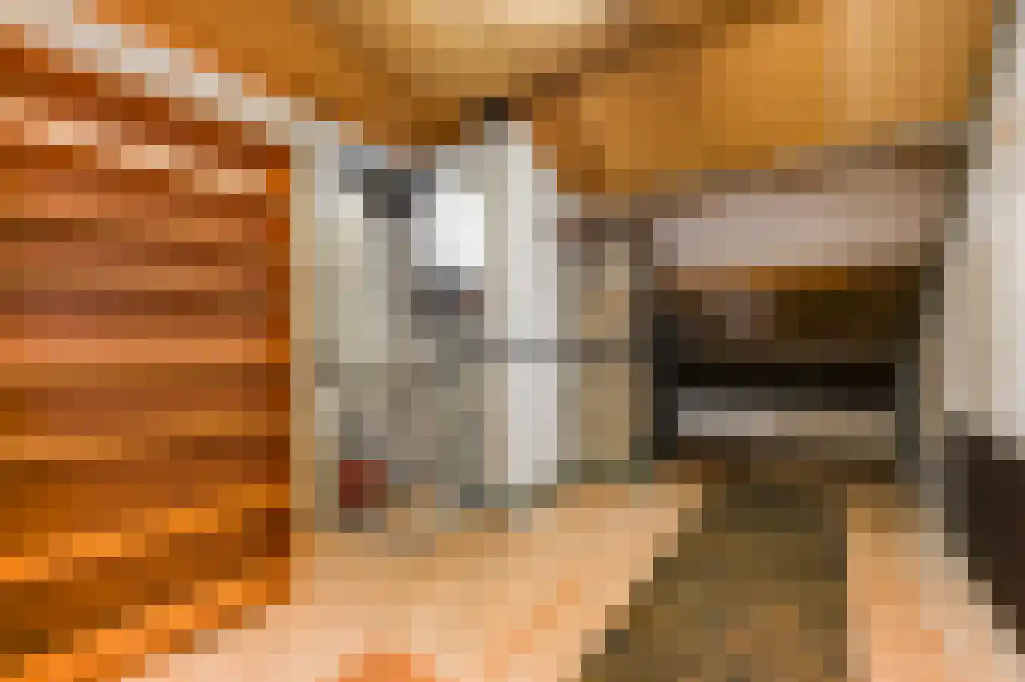 Albert Verweystraat 126 Voorburg thumbnail 31