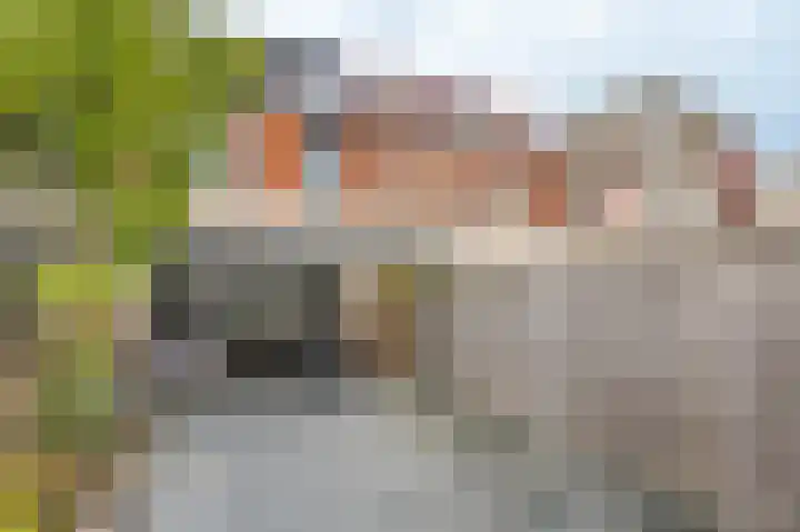 Albert Verweystraat 14 Gorinchem thumbnail 13