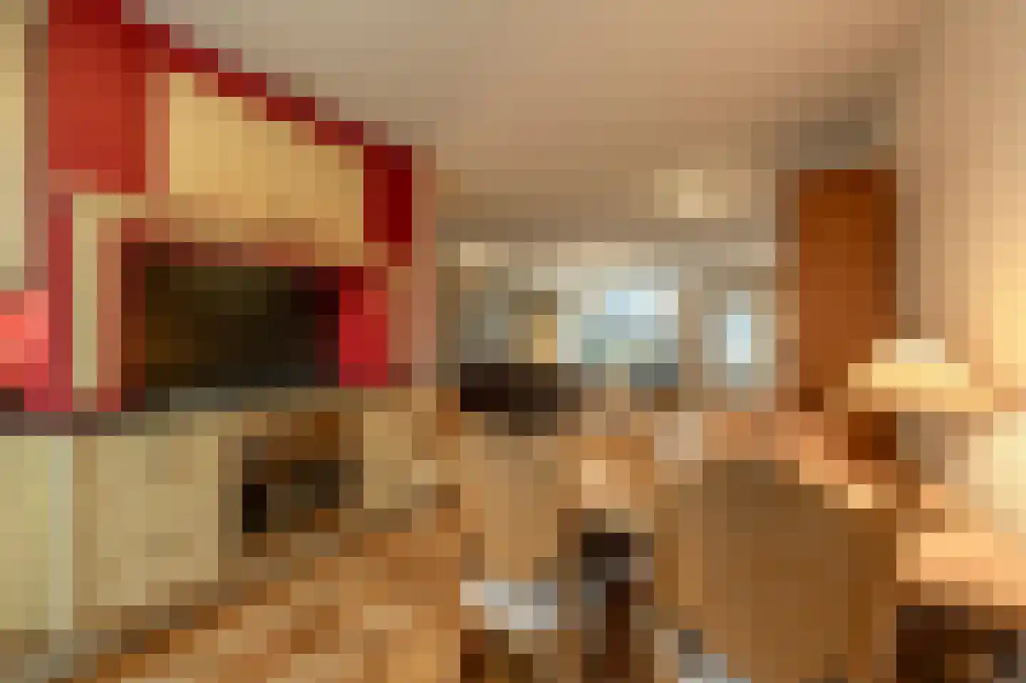 Albert Verweystraat 15 Mijnsheerenland thumbnail 10