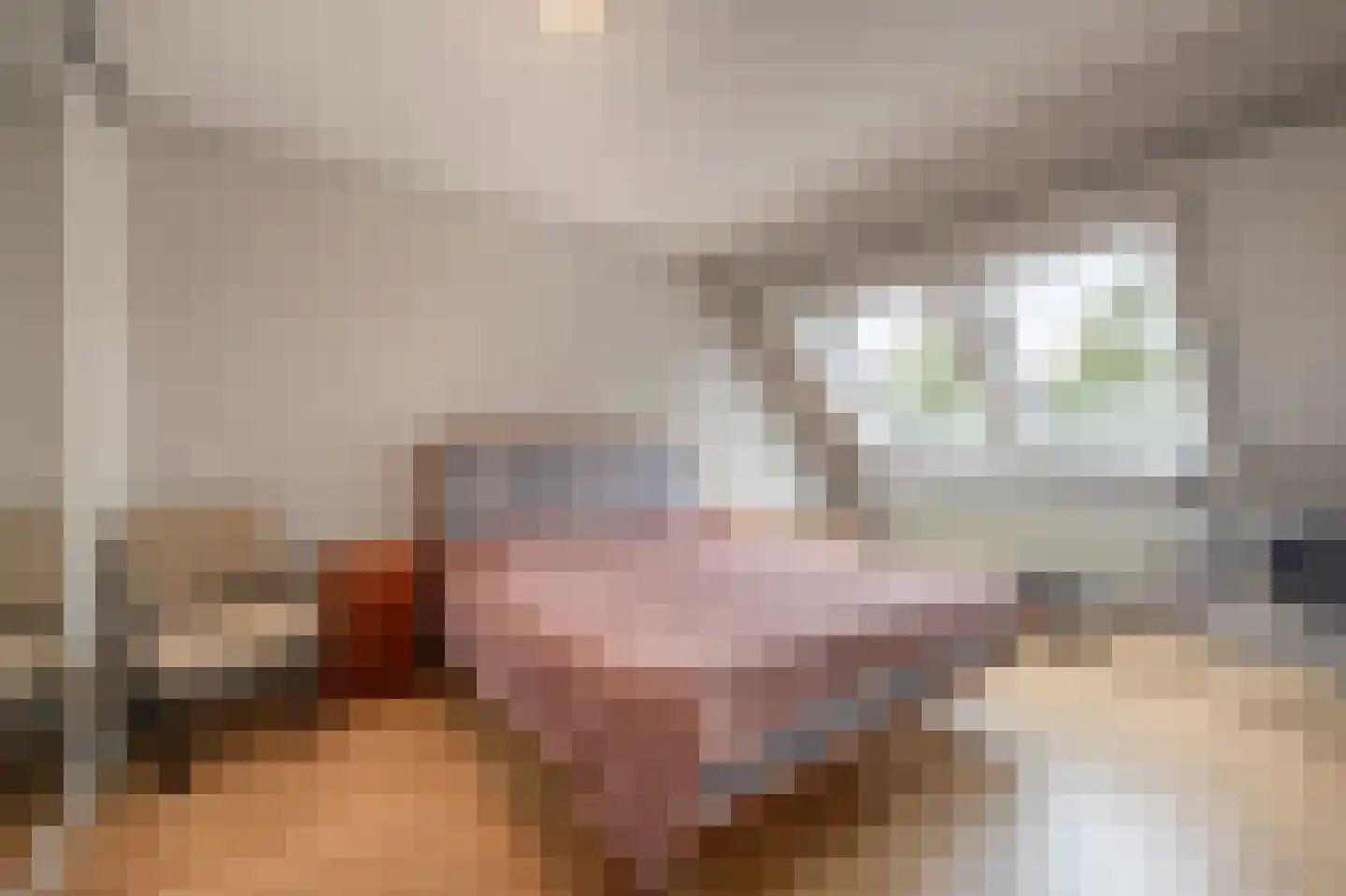 Albert Verweystraat 15 Mijnsheerenland thumbnail 12