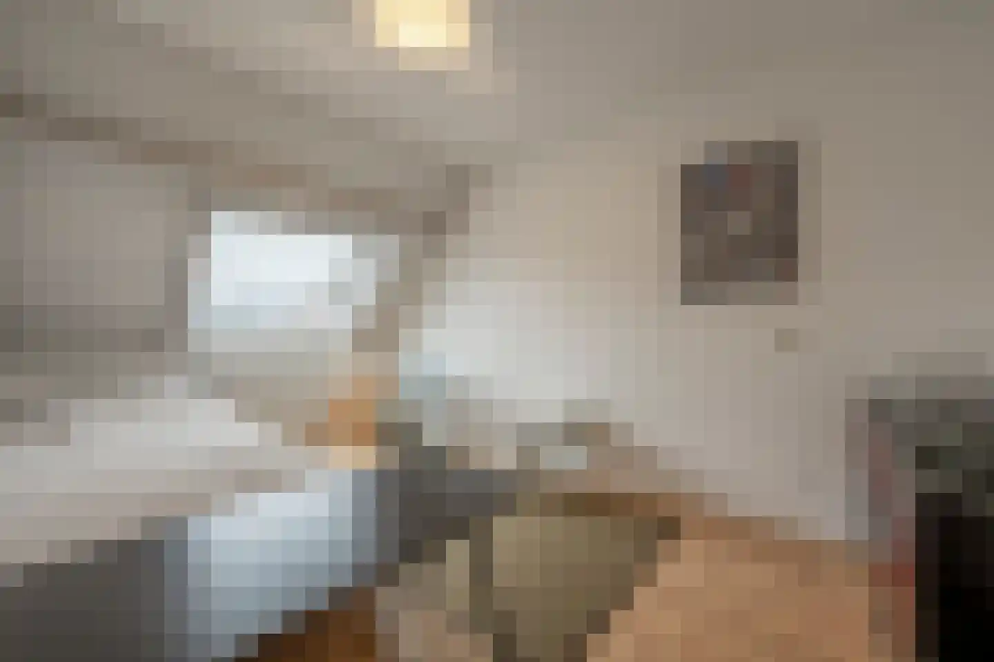 Albert Verweystraat 15 Mijnsheerenland thumbnail 14
