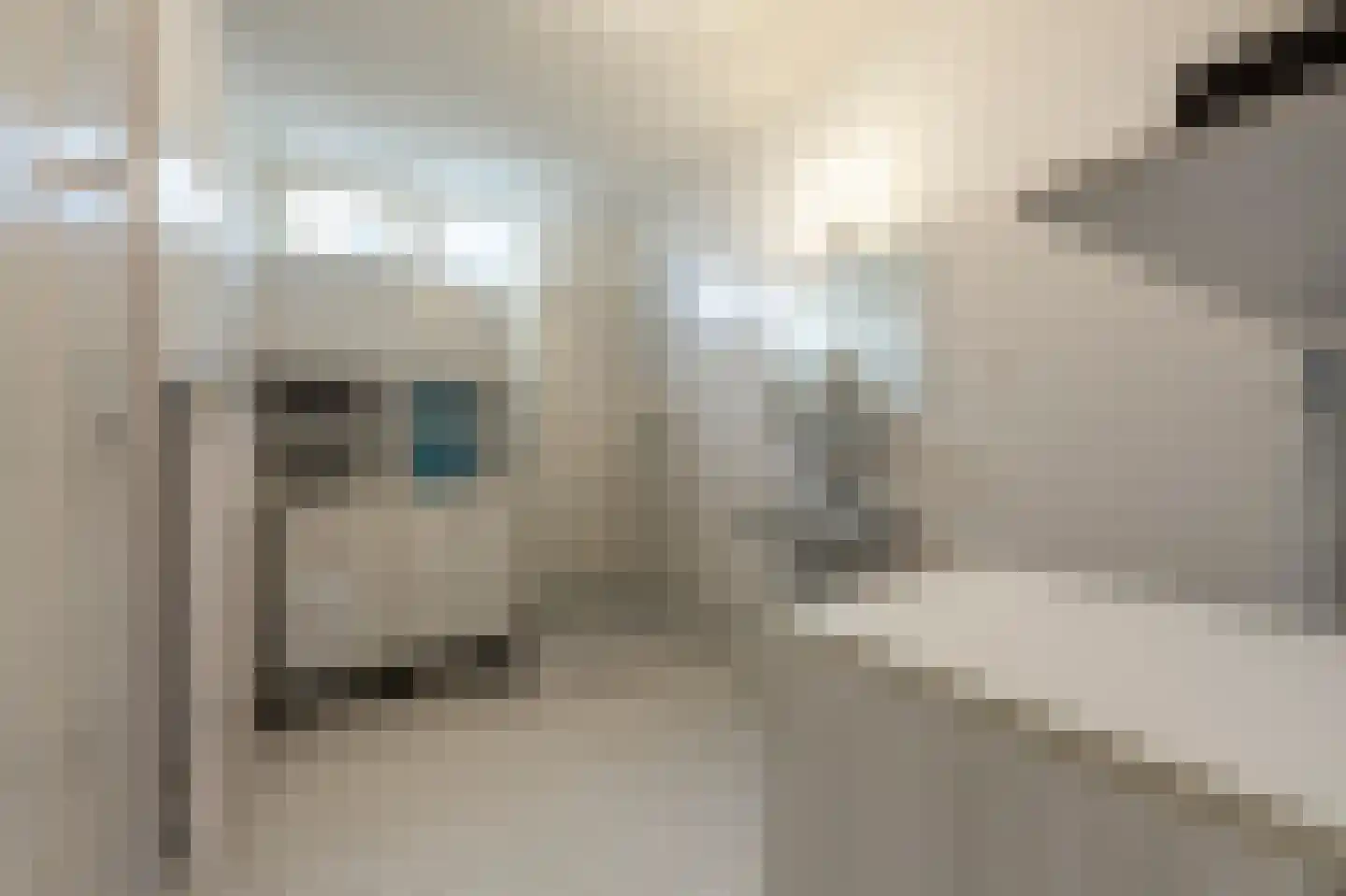 Albert Verweystraat 15 Mijnsheerenland thumbnail 18