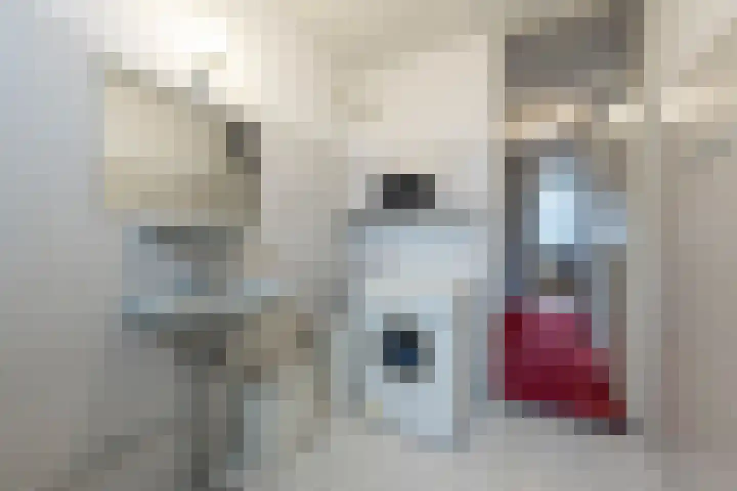Albert Verweystraat 15 Mijnsheerenland thumbnail 19