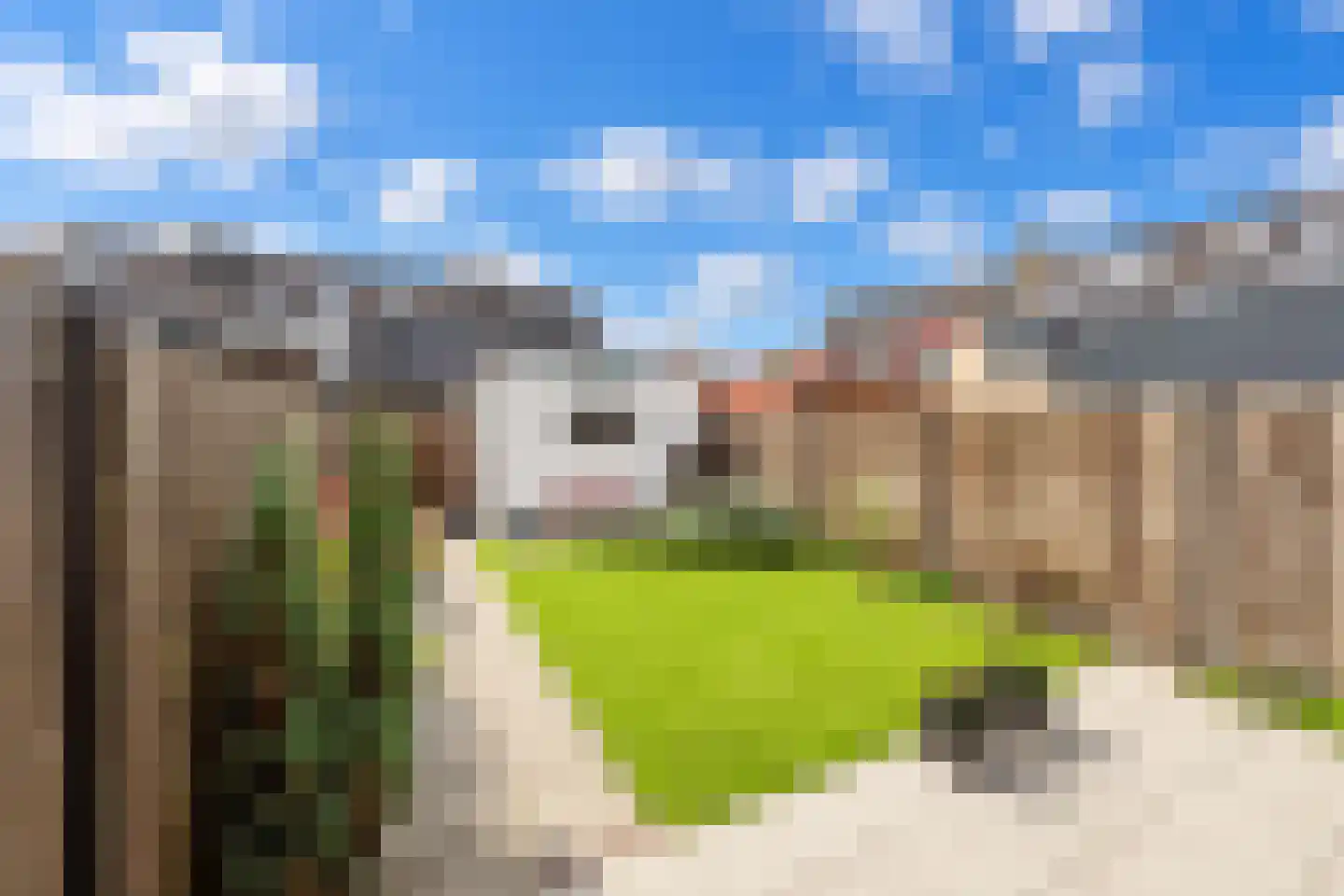 Albert Verweystraat 15 Mijnsheerenland thumbnail 26