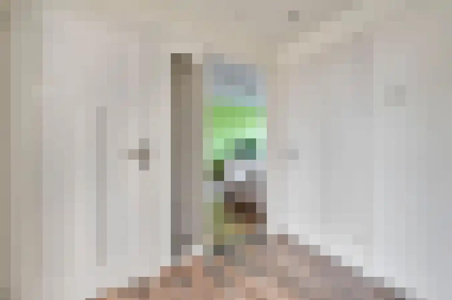 Albert Verweystraat 160 Voorburg thumbnail 15