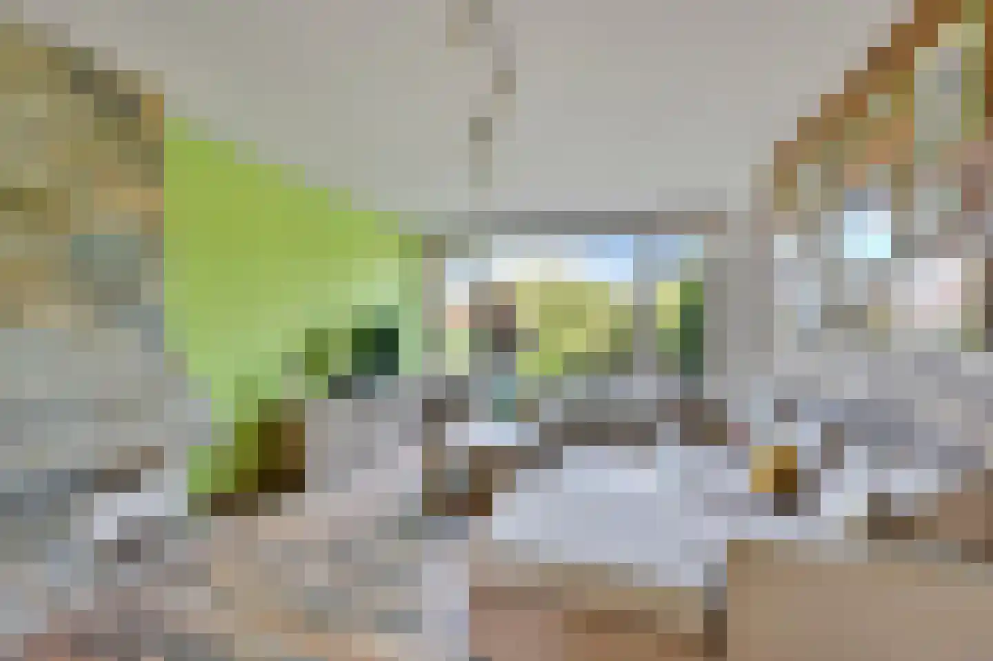 Albert Verweystraat 160 Voorburg thumbnail 17