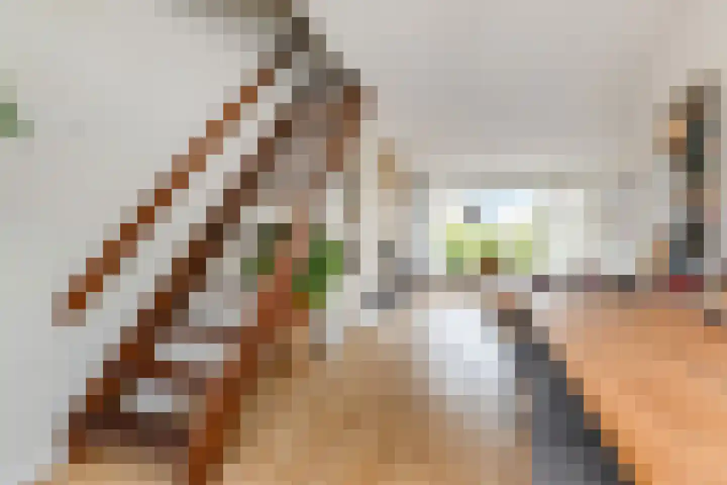 Albert Verweystraat 162 Voorburg thumbnail 17