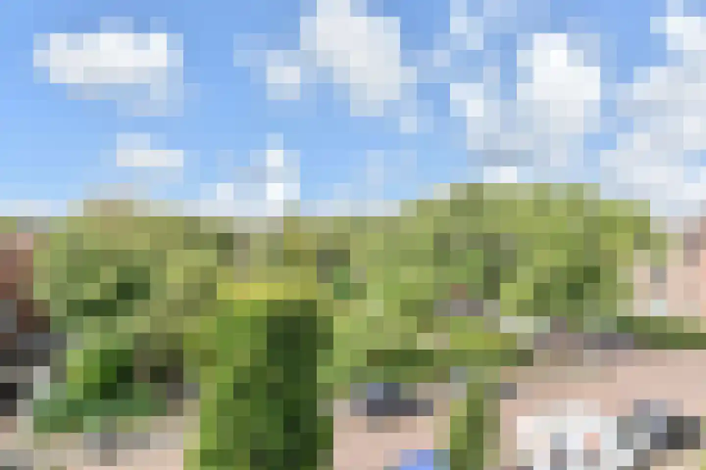 Albert Verweystraat 162 Voorburg thumbnail 23