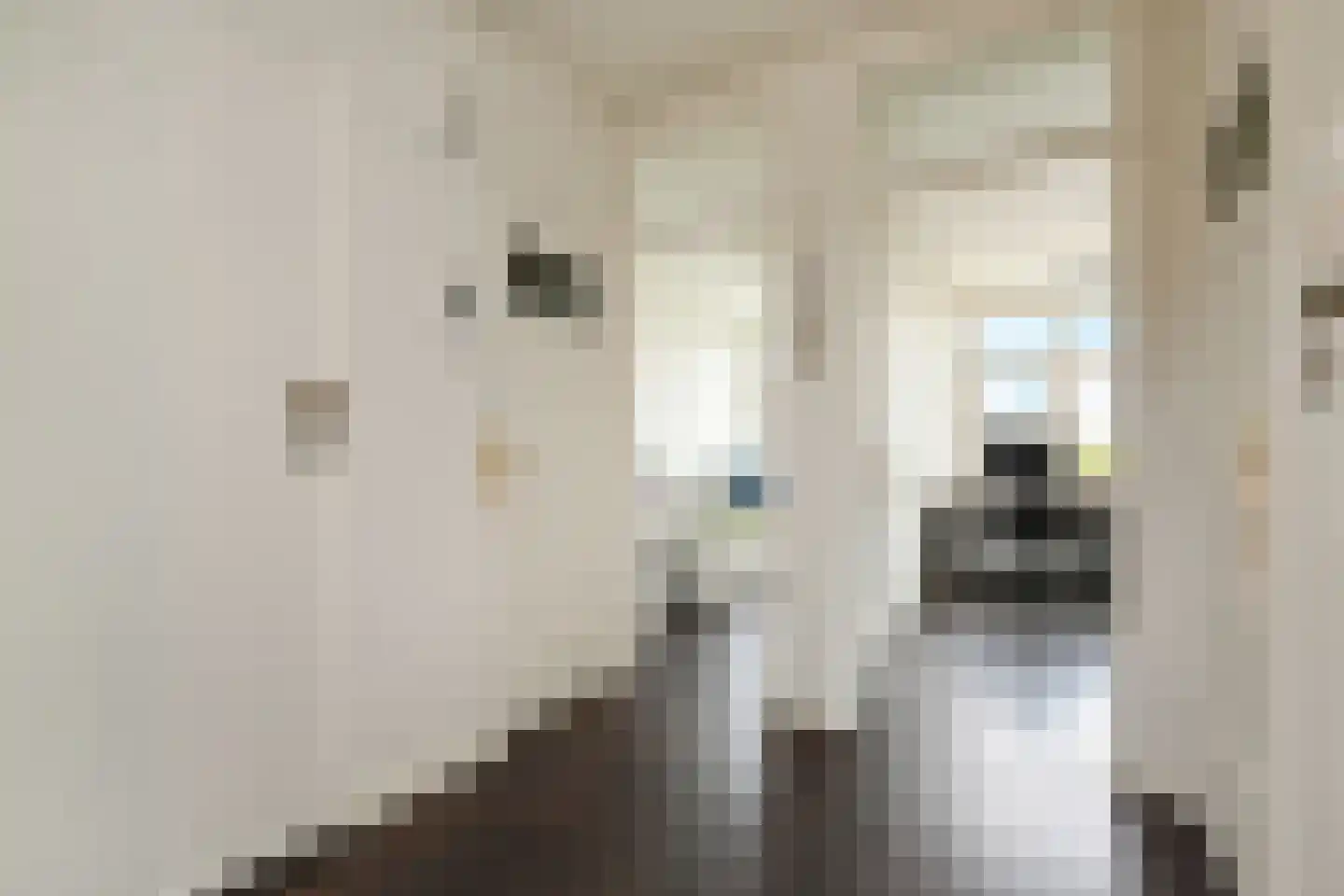 Albert Verweystraat 162 Voorburg thumbnail 27