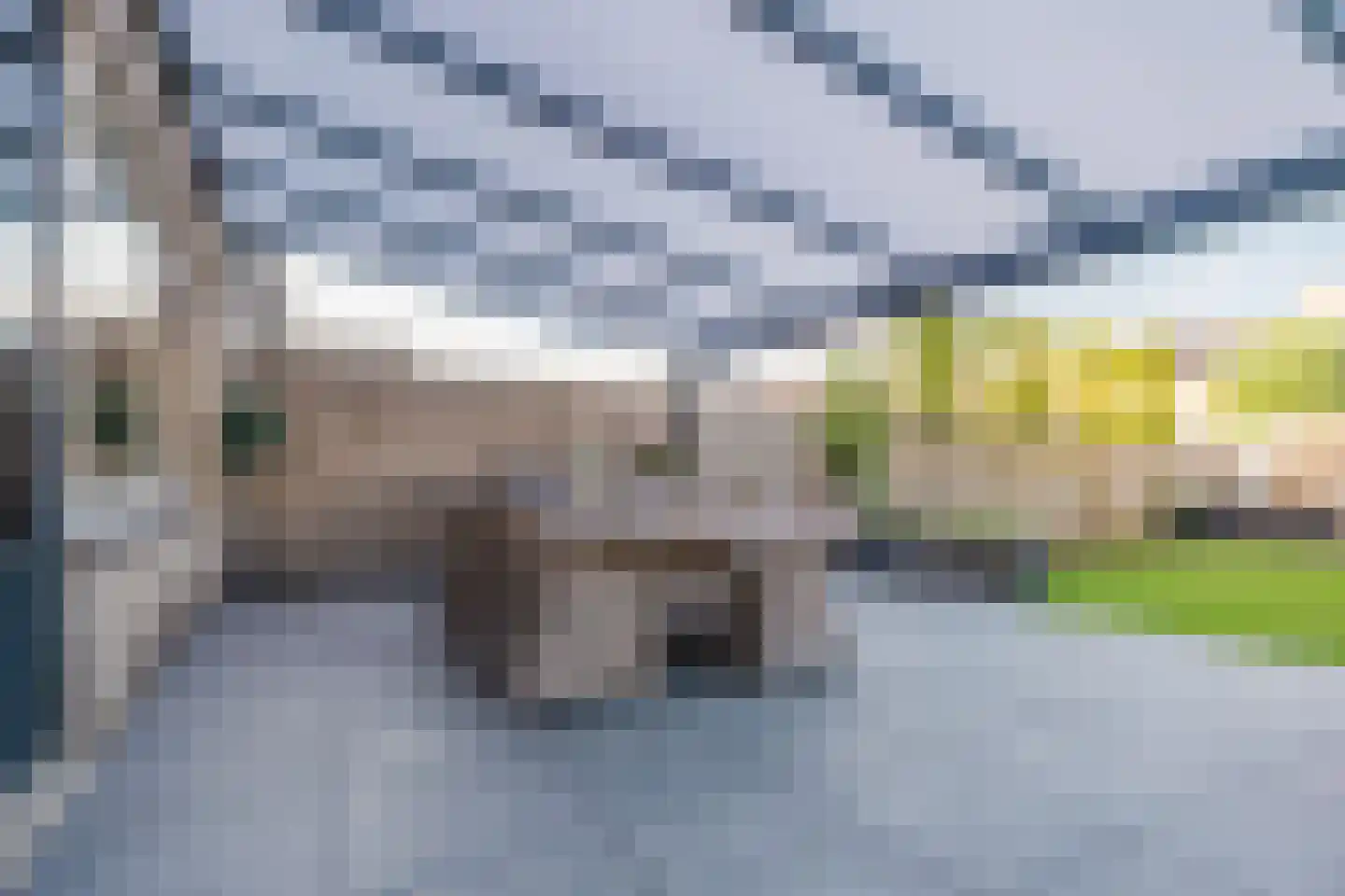 Albert Verweystraat 2 Gorinchem thumbnail 17