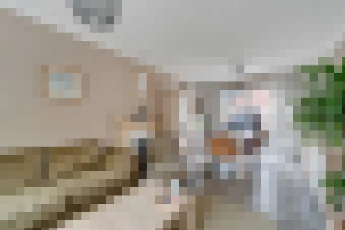 Albert Verweystraat 30 Nijverdal thumbnail 5
