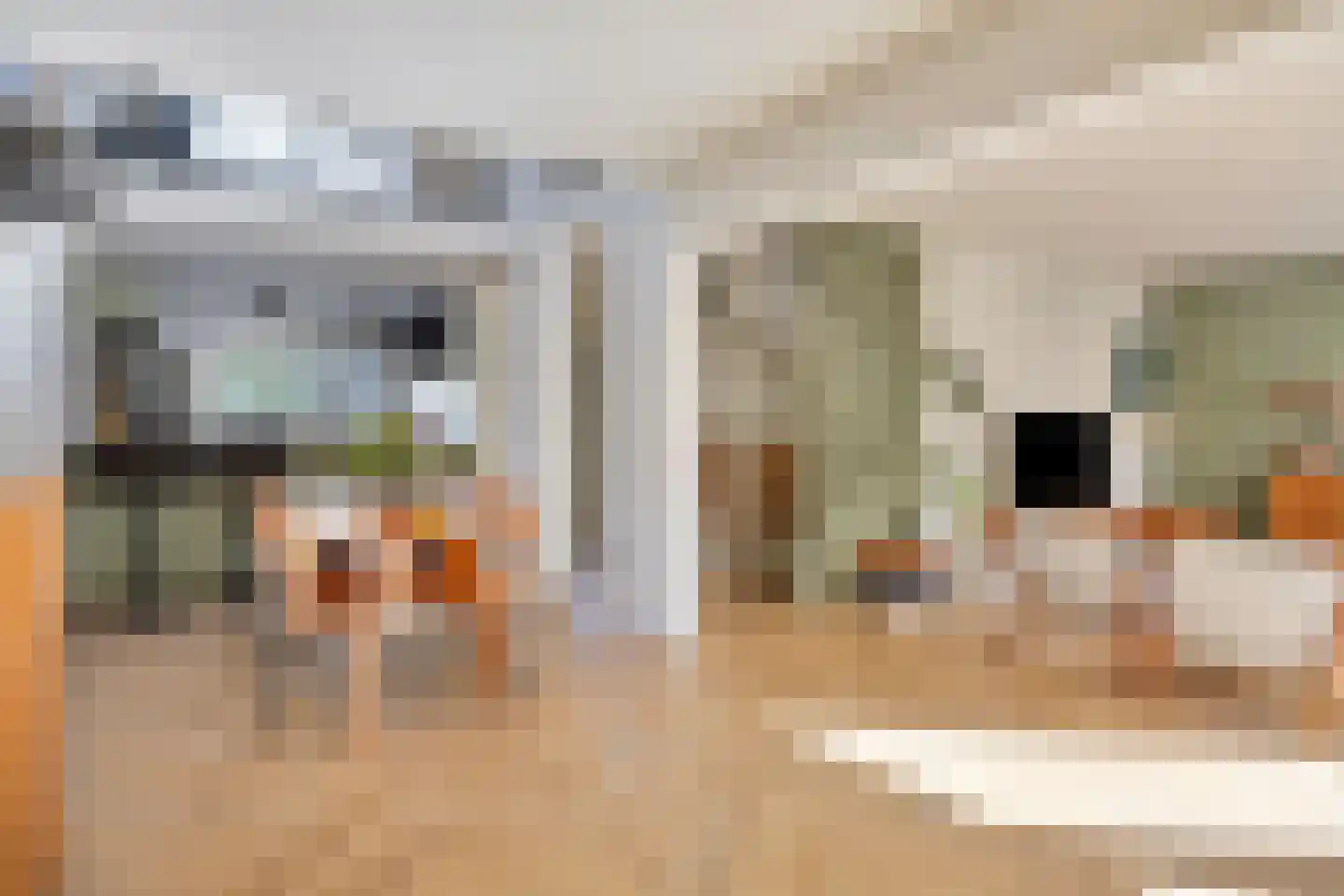 Albert Verweystraat 50 Gorinchem thumbnail 13