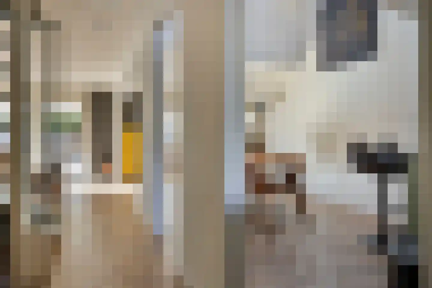 Albert Verweystraat 50 Gorinchem thumbnail 8
