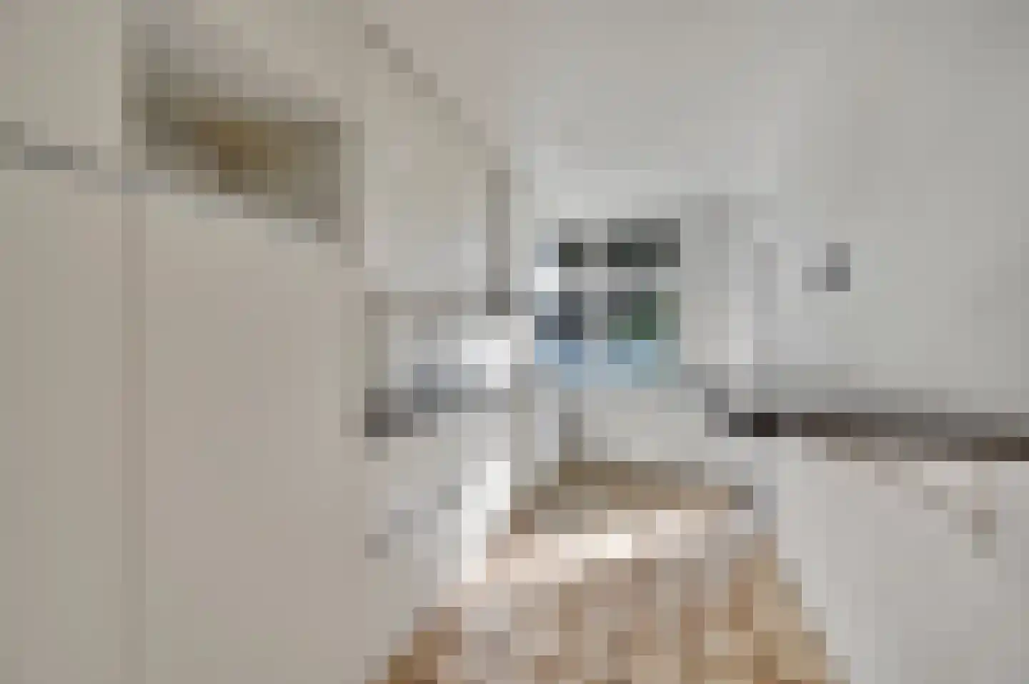 Albert Verweystraat 62 Voorburg thumbnail 13