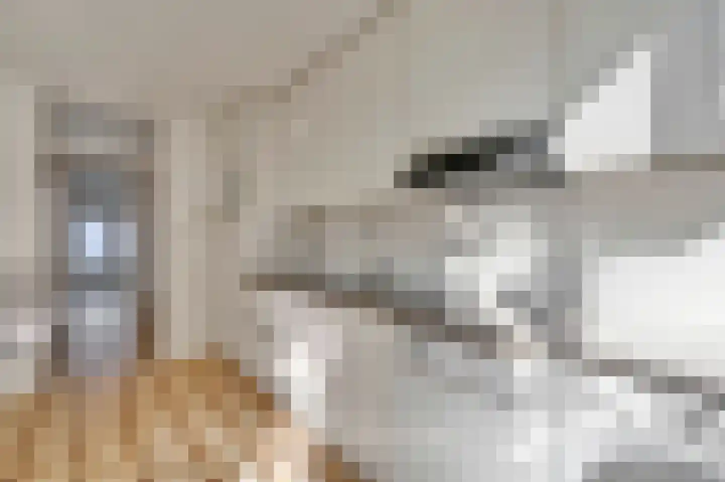 Albert Verweystraat 62 Voorburg thumbnail 14