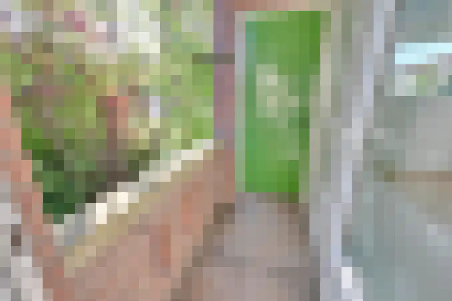 Albert Verweystraat 62 Voorburg thumbnail 20