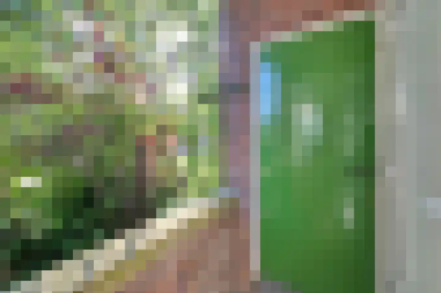 Albert Verweystraat 62 Voorburg thumbnail 22