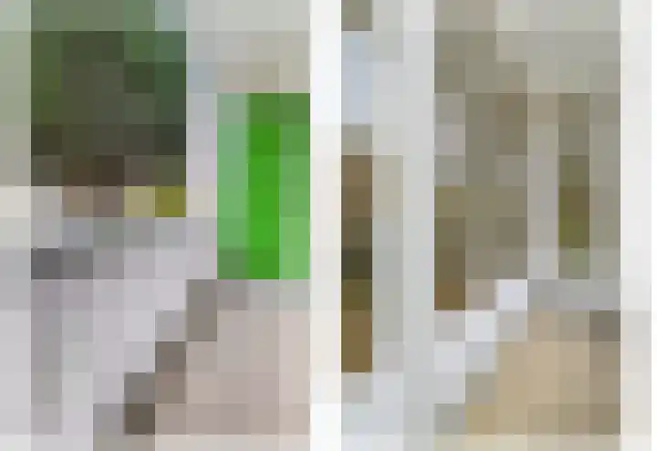 Albert Verweystraat 74 Voorburg thumbnail 11