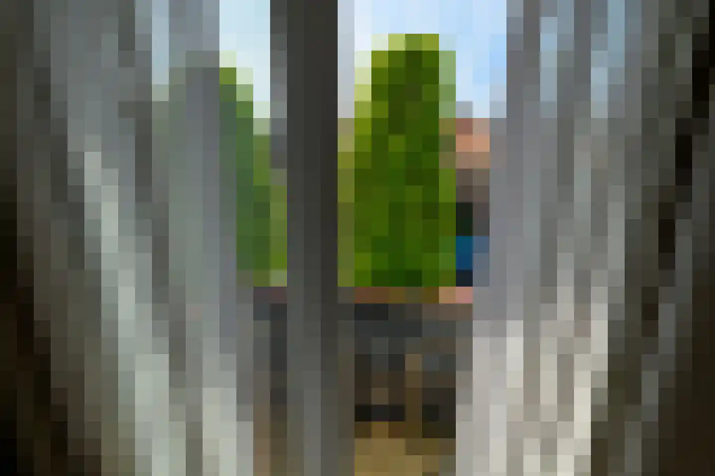 Albert Verweystraat 94 Voorburg thumbnail 17