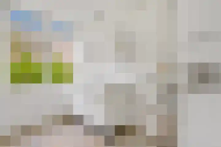 Albert Verweystraat 96 Voorburg thumbnail 12