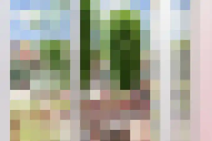 Albert Verweystraat 98 Voorburg thumbnail 16
