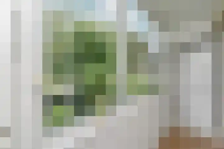 Albert Verweystraat 98 Voorburg thumbnail 22