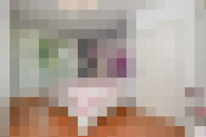 Albert Verweystraat 98 Voorburg thumbnail 5