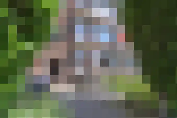 Albert Verweystraat 98 Voorburg thumbnail 8