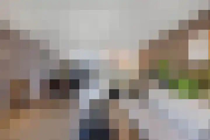 Albert Wiggerssingel 23 Emmeloord thumbnail 13
