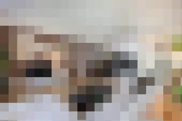 Albert Wiggerssingel 23 Emmeloord thumbnail 14