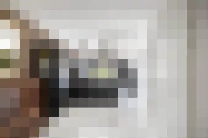 Albert Wiggerssingel 23 Emmeloord thumbnail 18