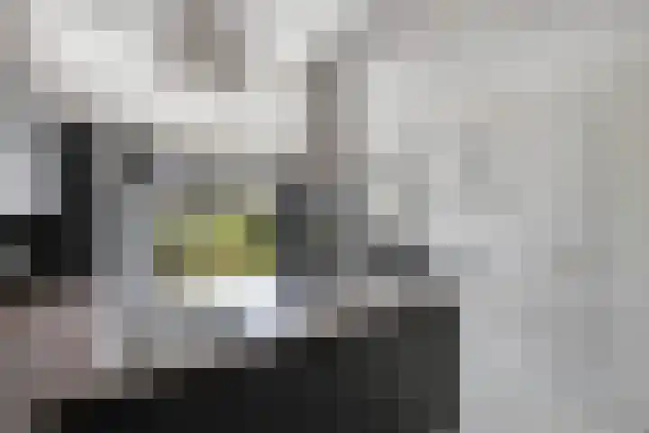 Albert Wiggerssingel 23 Emmeloord thumbnail 19