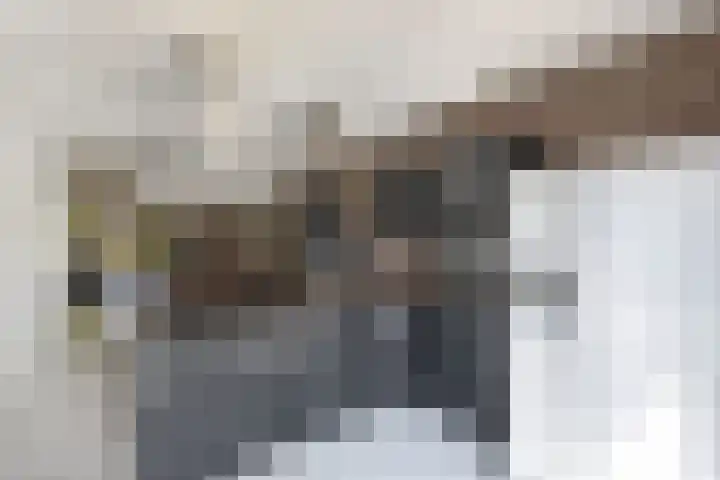 Albert Wiggerssingel 23 Emmeloord thumbnail 20