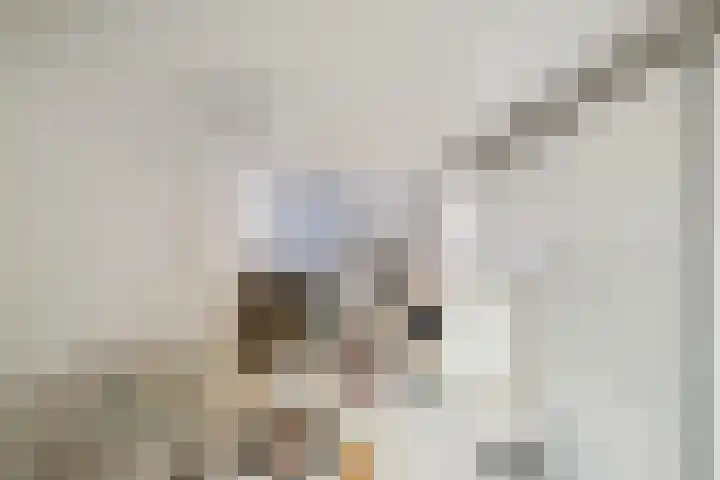 Albert Wiggerssingel 23 Emmeloord thumbnail 22
