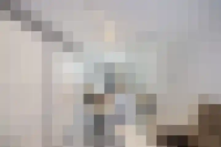 Albert Wiggerssingel 23 Emmeloord thumbnail 23